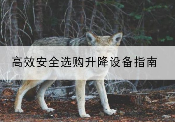 碾子山升降货梯厂家推荐-*安全选购升降设备指南