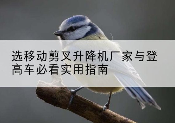 碾子山电动升降机厂家-选移动剪叉升降机厂家与登高车必看实用指南